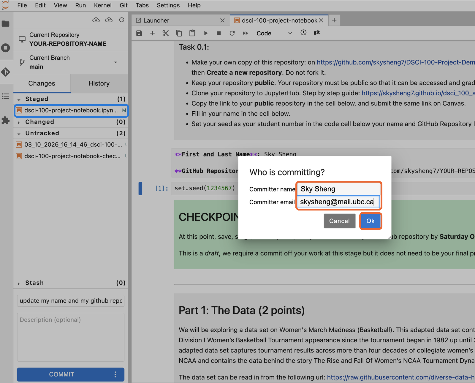The Who is committing window, with the name and email boxes and the Ok button highlighted.