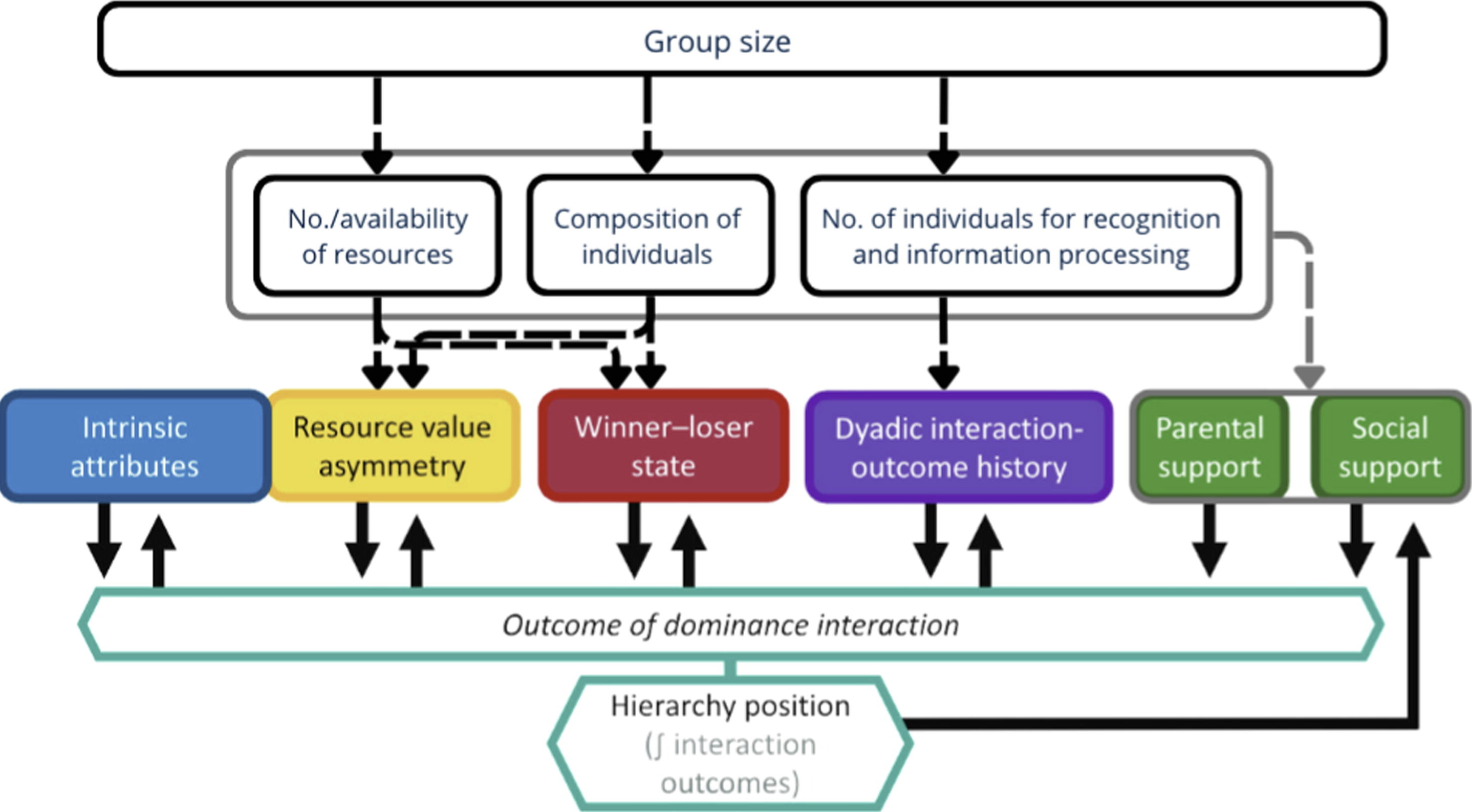 Visual representation of group size effects research