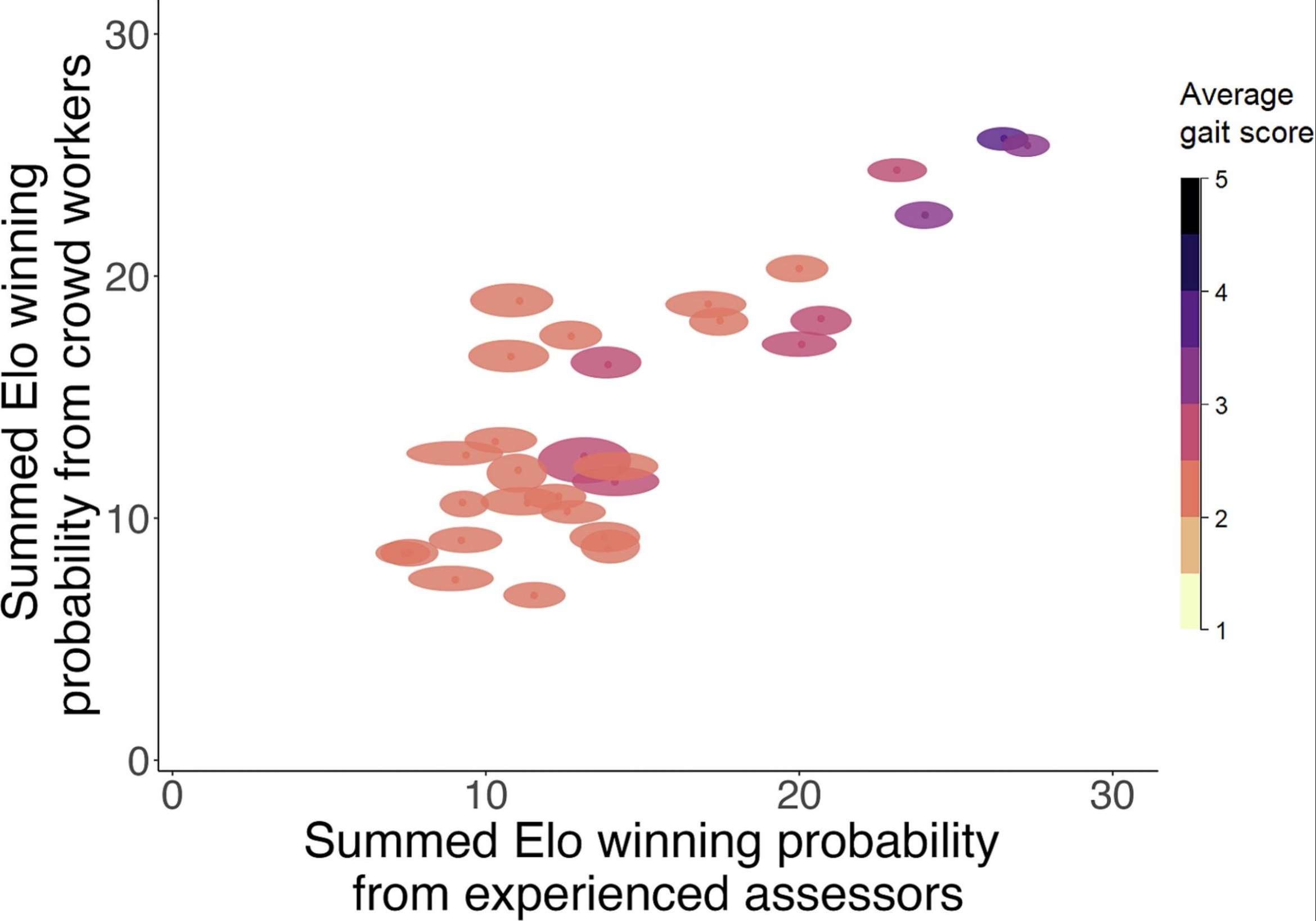 Visual representation of lameness hierarchy research